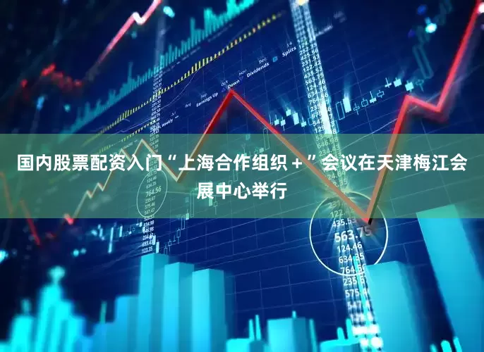 国内股票配资入门“上海合作组织＋”会议在天津梅江会展中心举行
