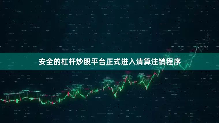安全的杠杆炒股平台正式进入清算注销程序